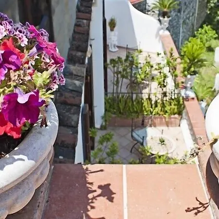 Palumbo בית הארחה